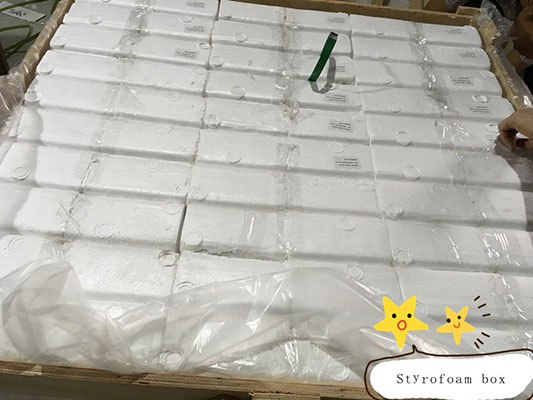 Styrofoam box