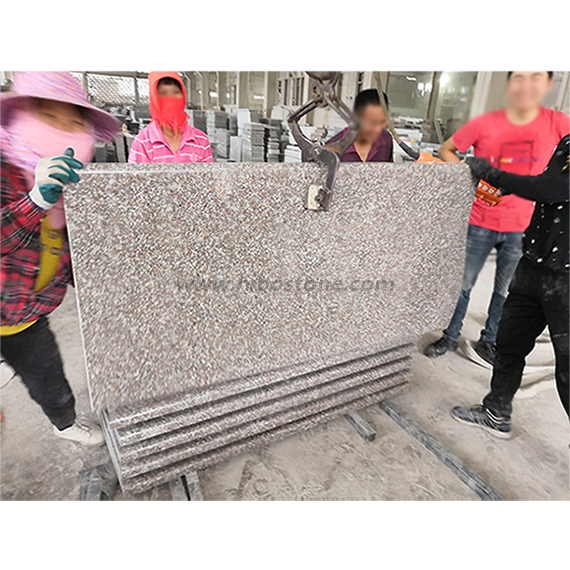  China G664 Brown Star Granite Monument Cover